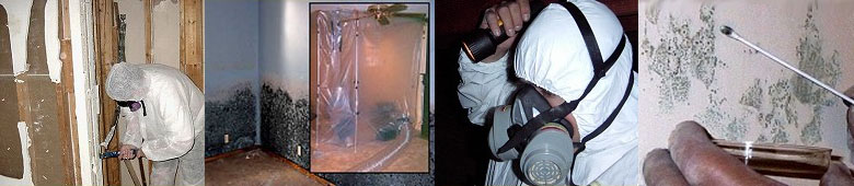 Mold Inspection Licensing Site provided by Professional Mold Inspection Institute